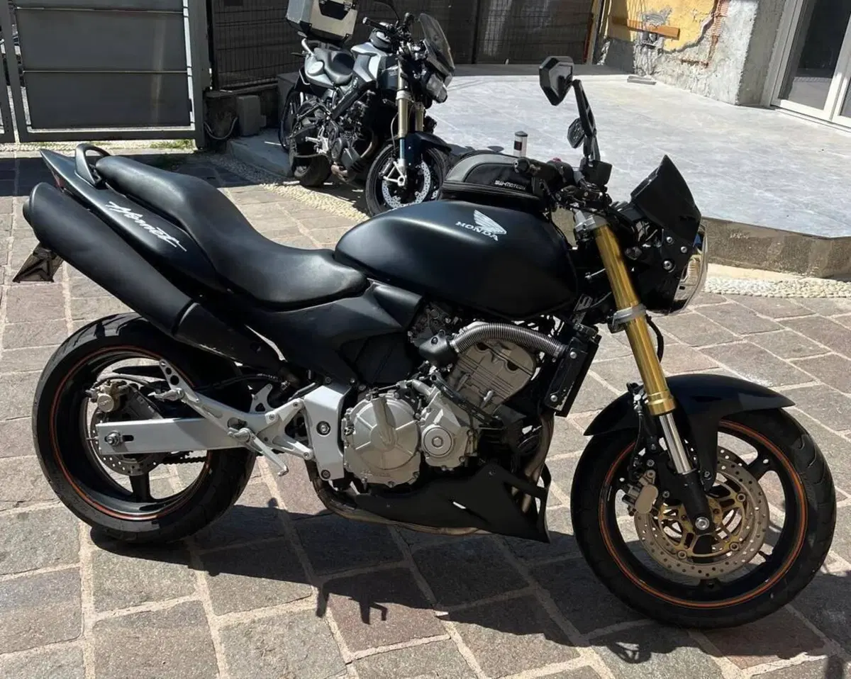 Honda Hornet 600 (2007 - 10) (2)
