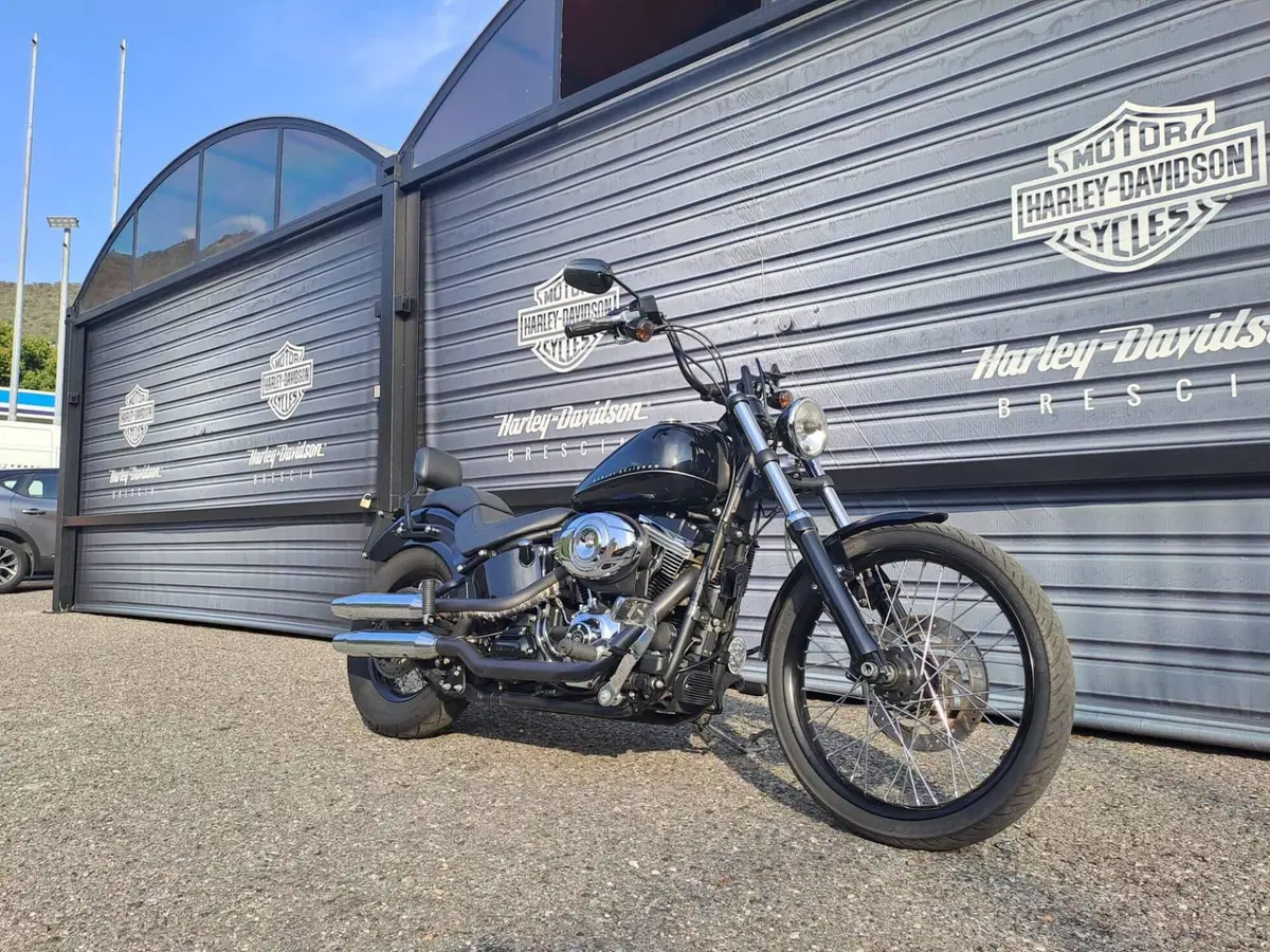 Harley-Davidson 1584 Blackline (2011 - 13) - FXS (2)