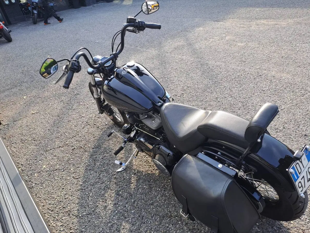 Harley-Davidson 1584 Blackline (2011 - 13) - FXS (4)