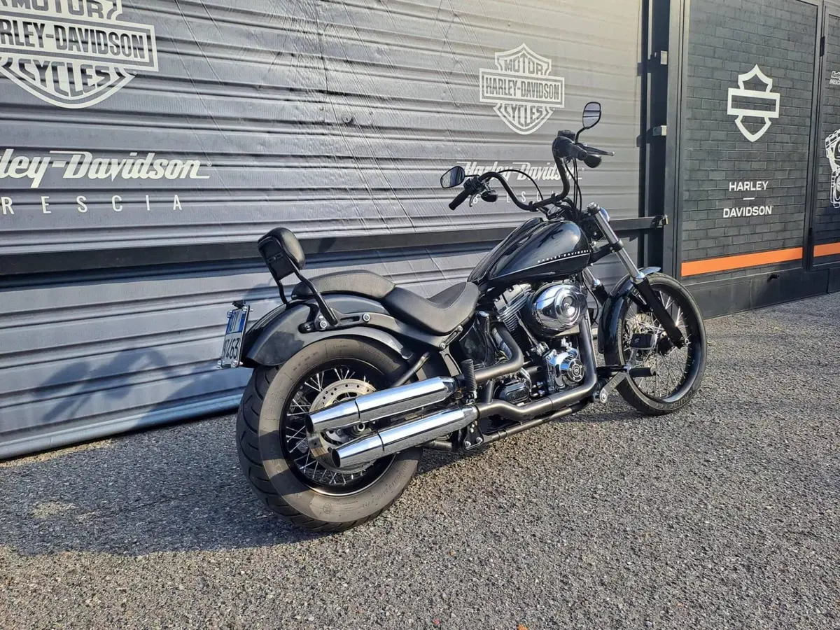 Harley-Davidson 1584 Blackline (2011 - 13) - FXS (3)