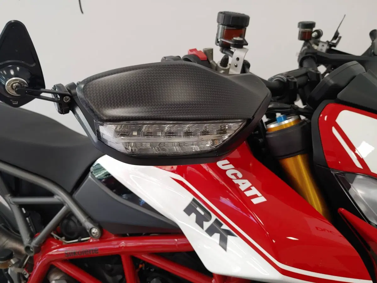 Ducati Hypermotard 950 SP (2019 - 20) (10)