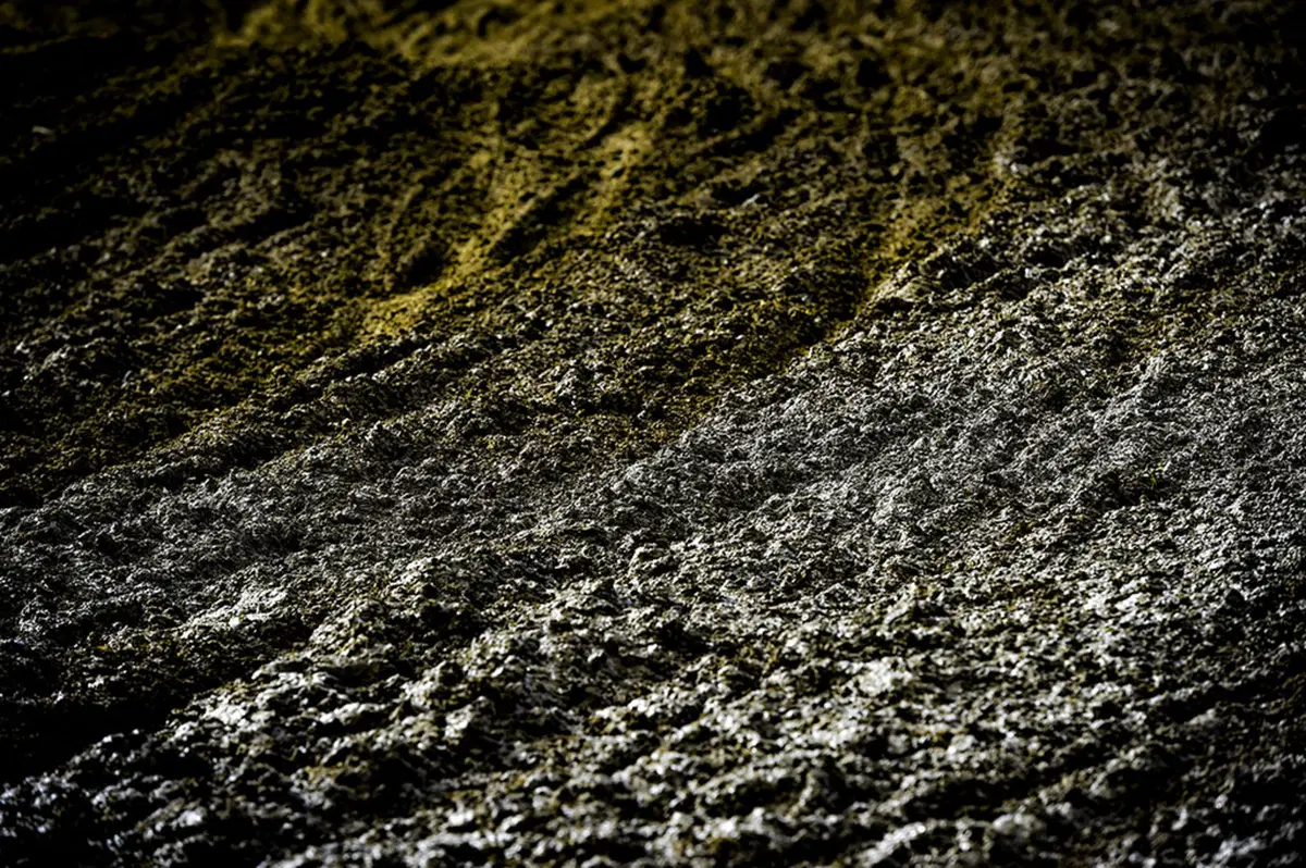 MX 2016. Le foto più spettacolari del GP di Svizzera (53)