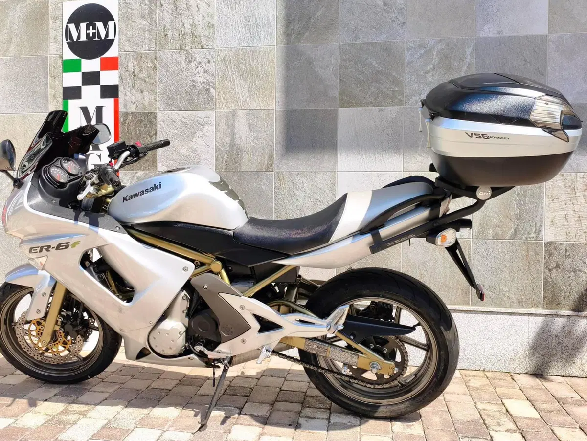 Kawasaki ER-6F (2006 - 08) (3)