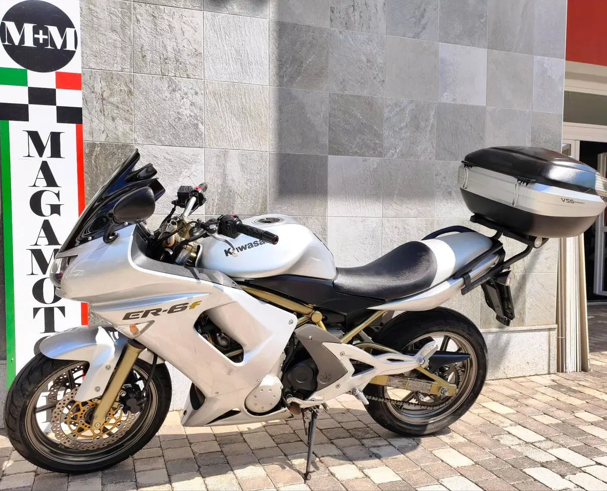 Kawasaki ER-6F (2006 - 08) (4)