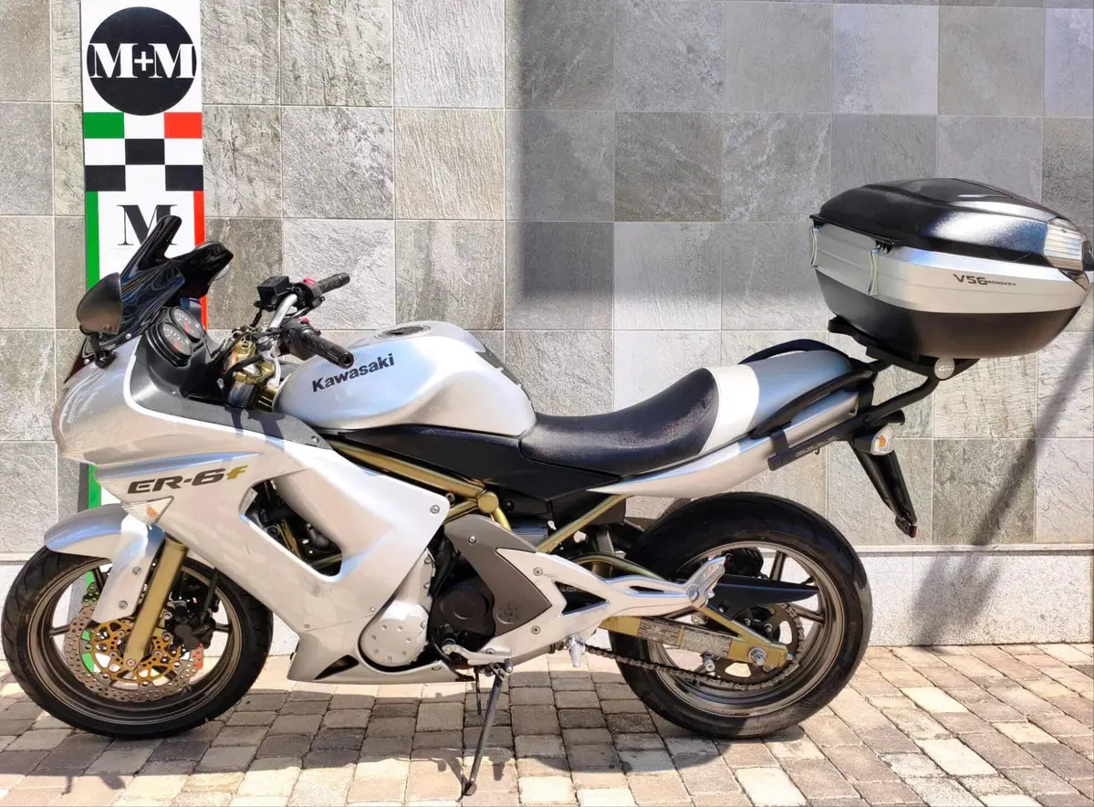 Kawasaki ER-6F (2006 - 08) (5)