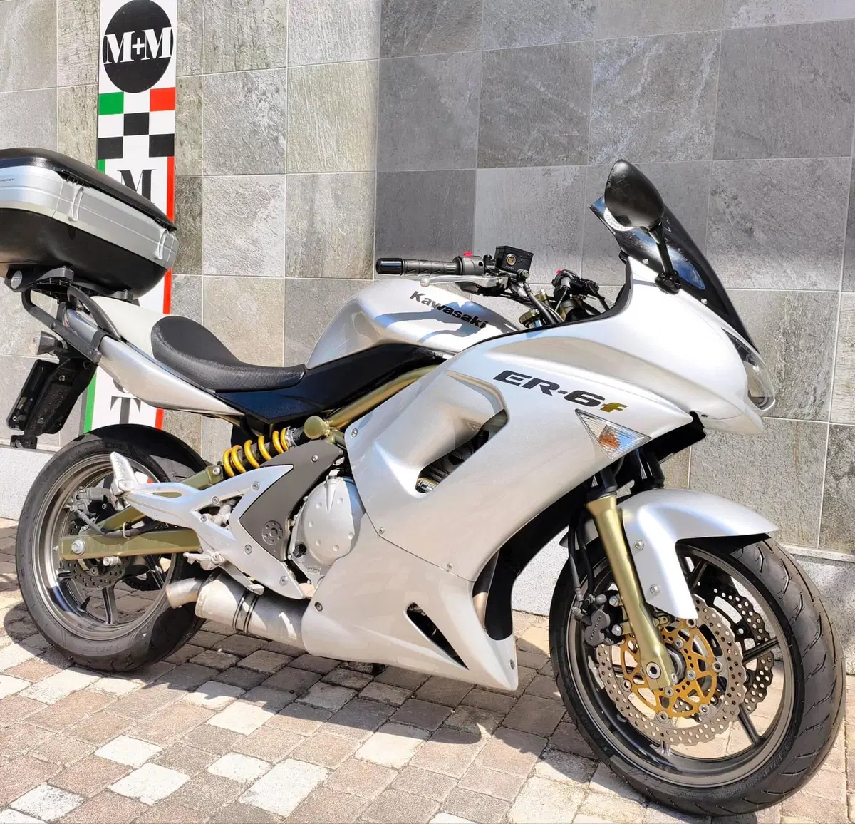 Kawasaki ER-6F (2006 - 08) (8)