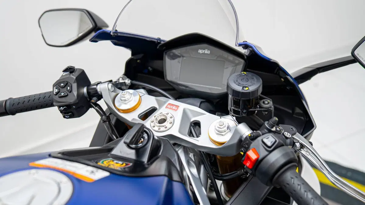 Aprilia RS 660 Limited Edition (2020 - 23) (17)