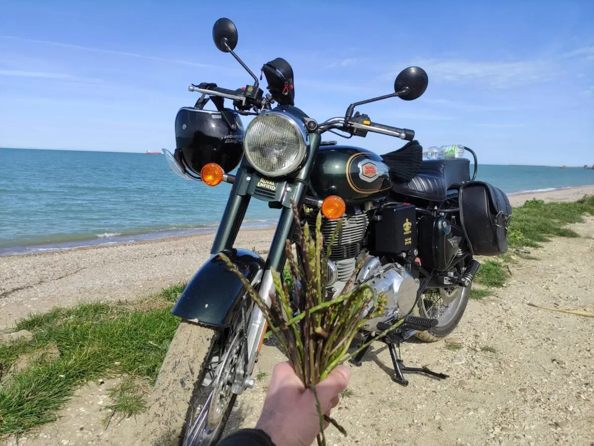 Royal Enfield Bullet 500 EFI STD - Entry Level (2017 - 20) (5)