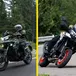 Benelli entra tra le maxi: abbiamo guidato le nuove TRK 902 Xplorer e Stradale [VIDEO]