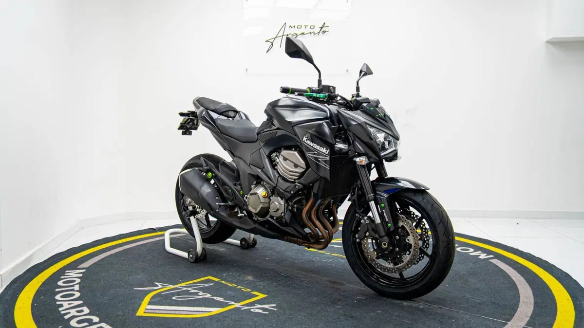 Kawasaki Z 800 e ABS (2012 - 16) (2)