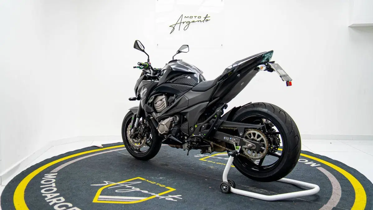 Kawasaki Z 800 e ABS (2012 - 16) (6)