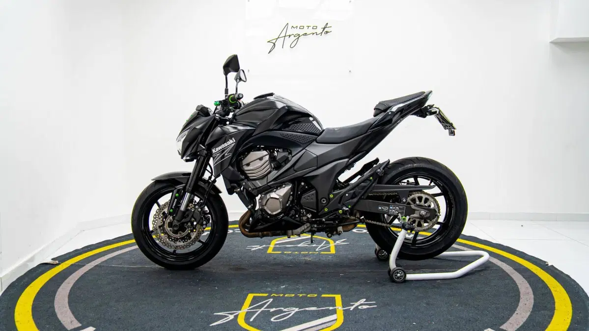 Kawasaki Z 800 e ABS (2012 - 16) (7)