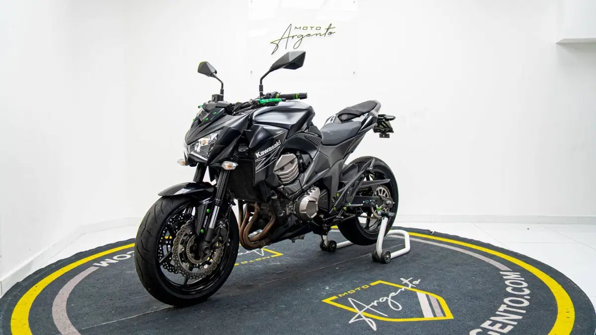Kawasaki Z 800 e ABS (2012 - 16) (8)