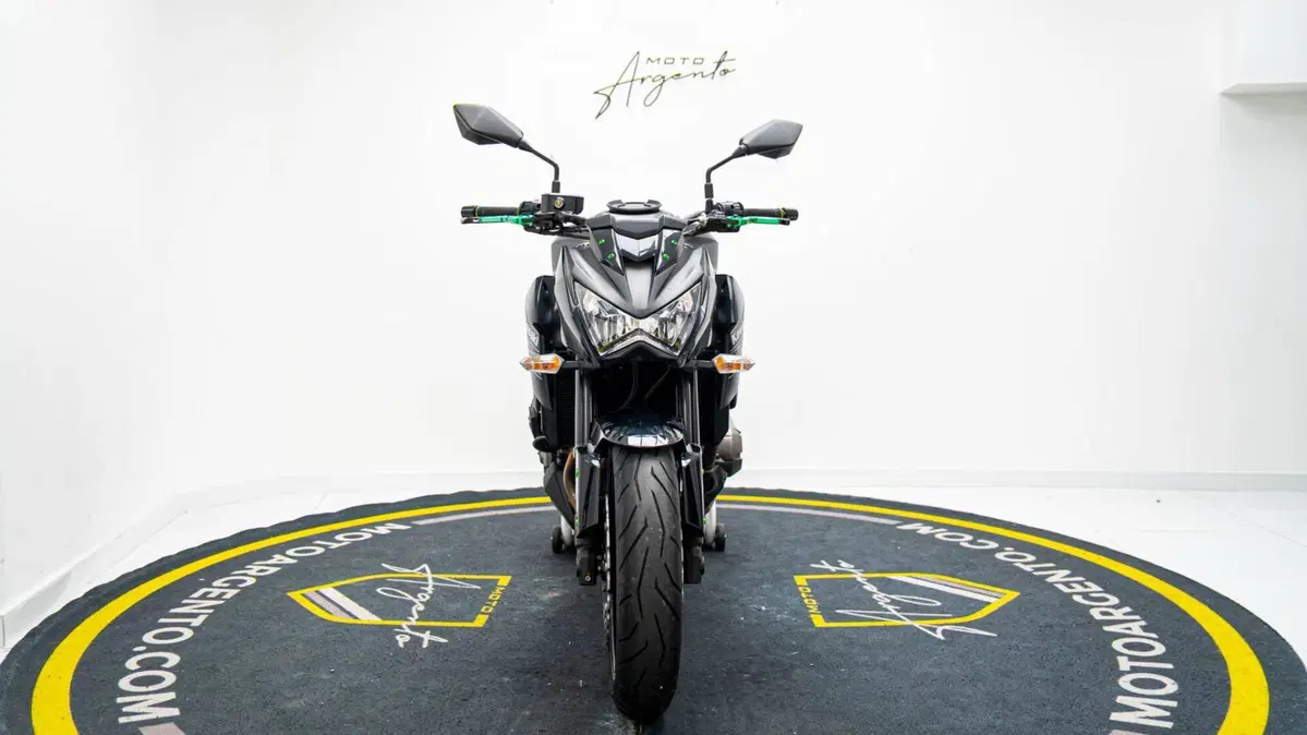 Kawasaki Z 800 e ABS (2012 - 16) (9)