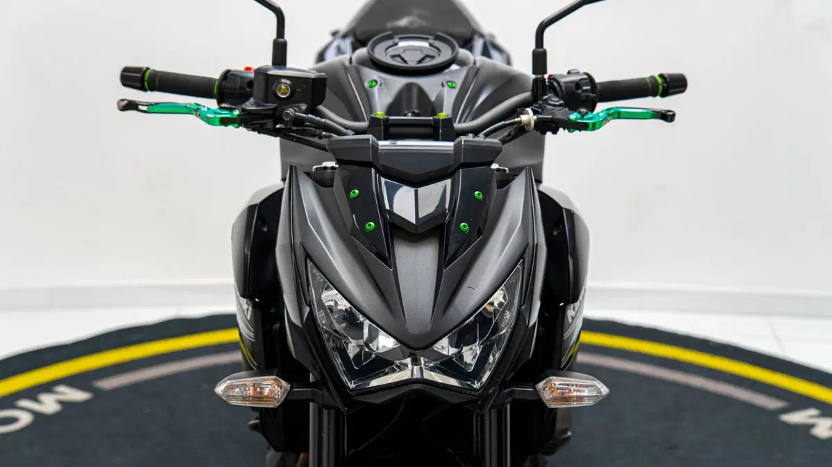 Kawasaki Z 800 e ABS (2012 - 16) (10)