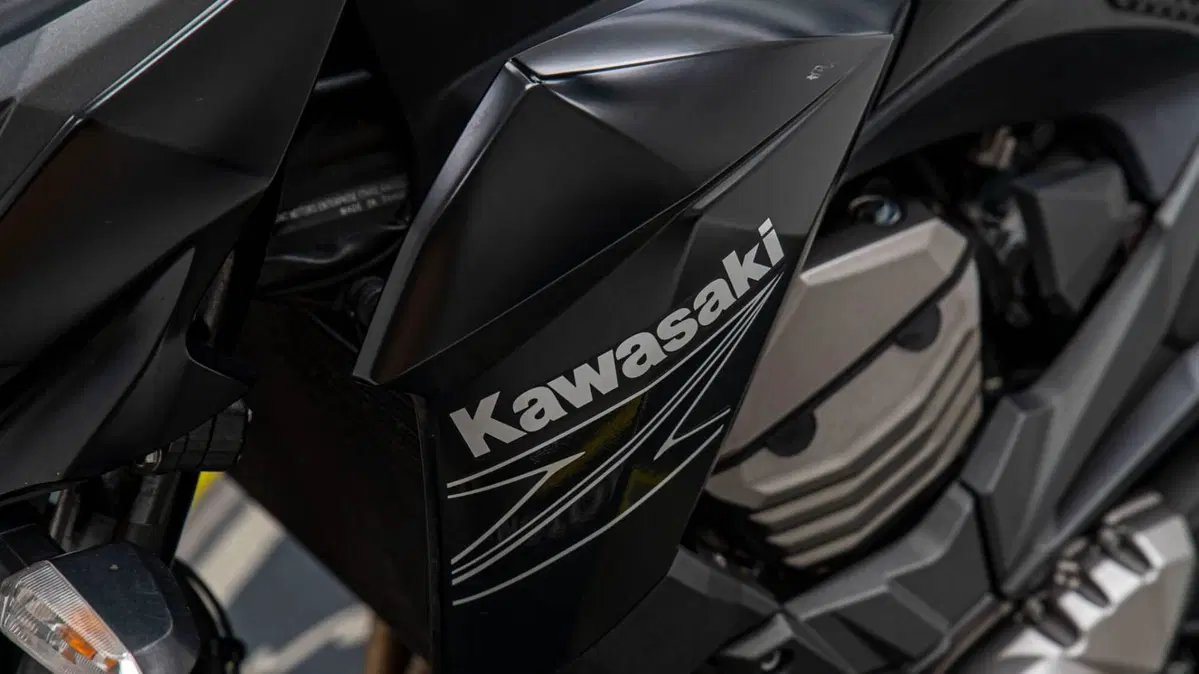 Kawasaki Z 800 e ABS (2012 - 16) (11)