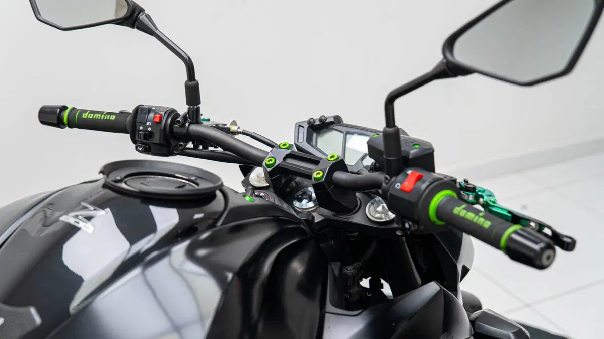 Kawasaki Z 800 e ABS (2012 - 16) (15)