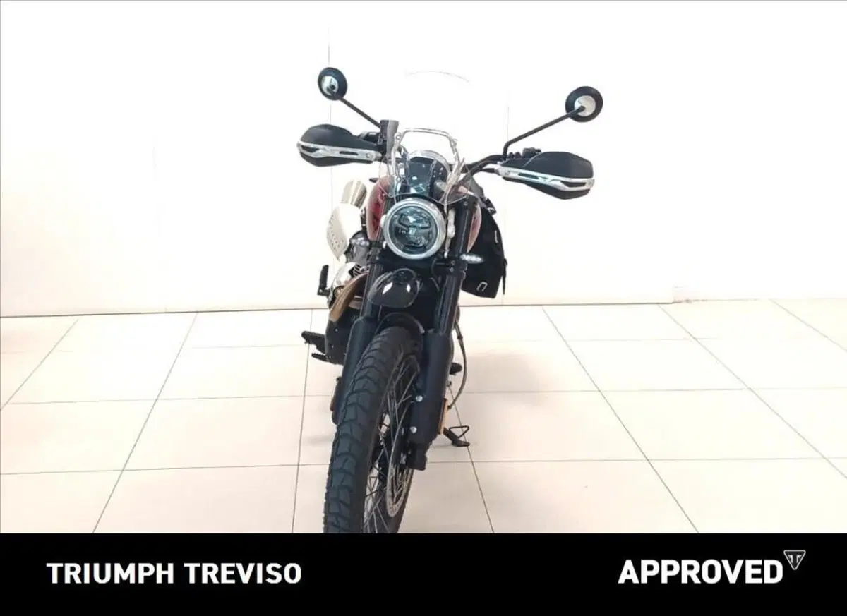 Triumph Scrambler 1200 X (2024 - 26) (3)
