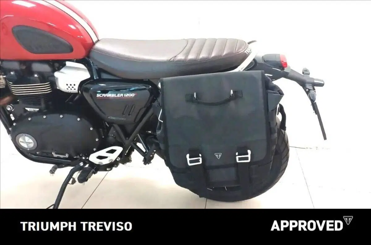Triumph Scrambler 1200 X (2024 - 26) (5)