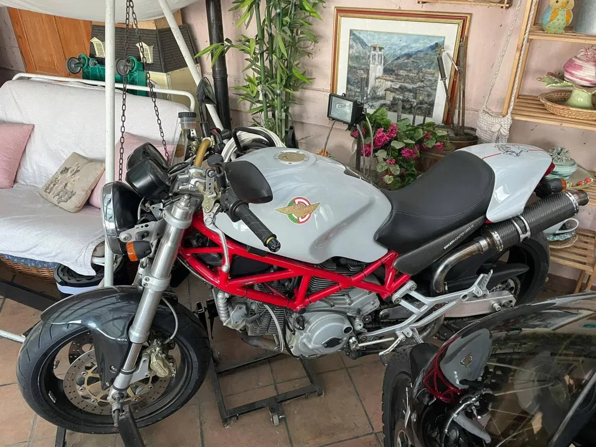 Ducati Monster 1000 DS (2003 - 05) (2)