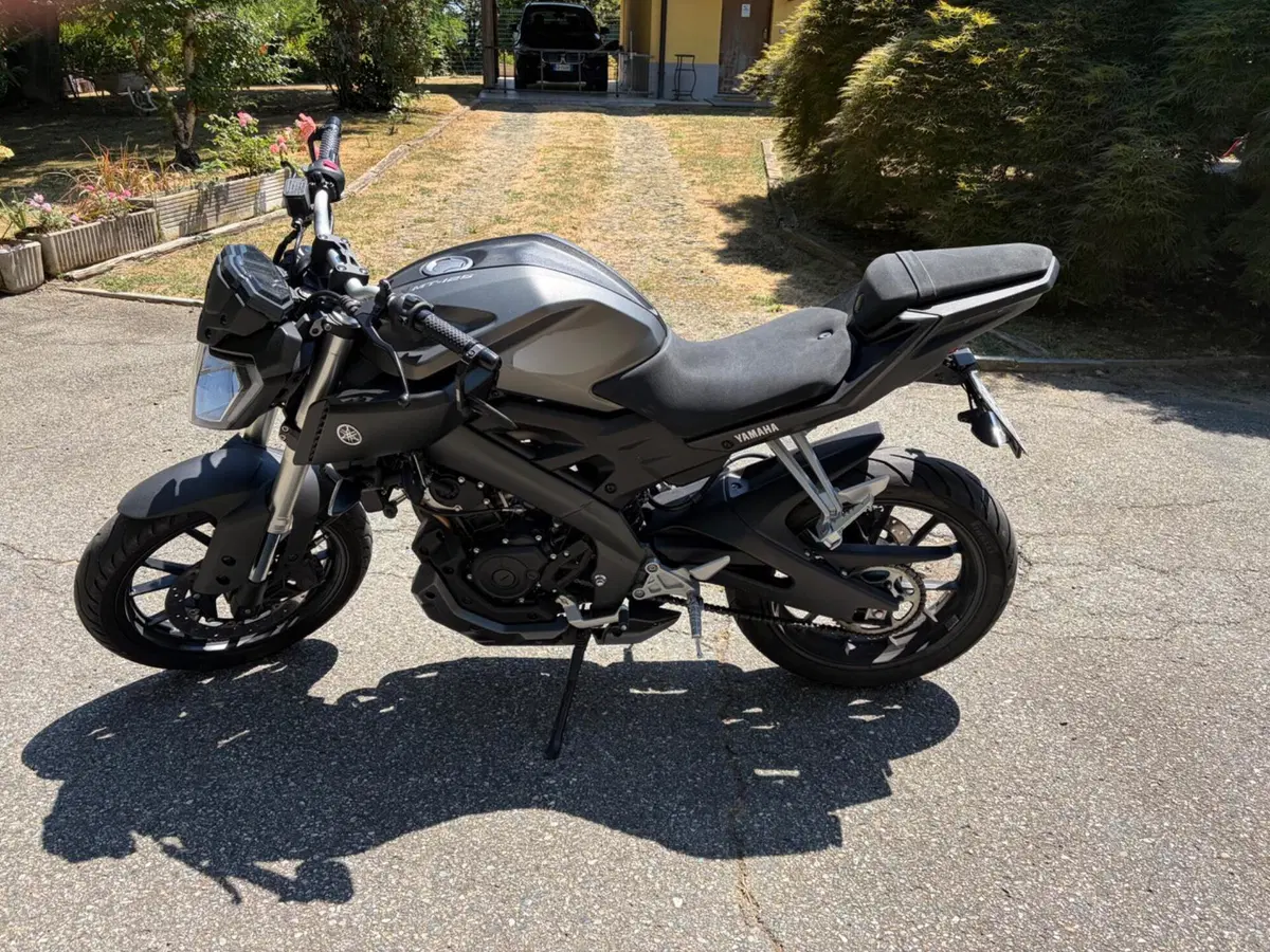 Yamaha MT-125 ABS (2015 - 16) (3)
