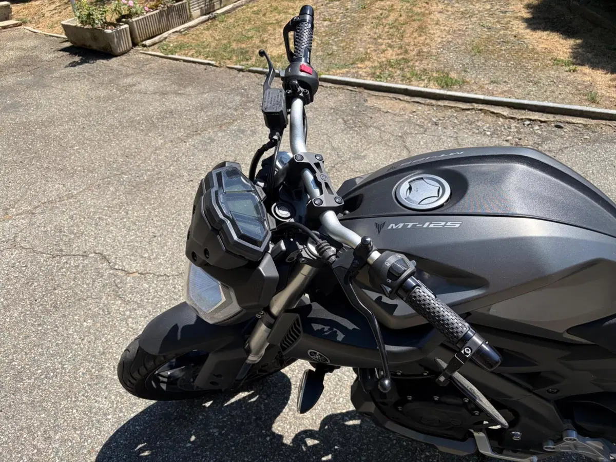 Yamaha MT-125 ABS (2015 - 16) (5)