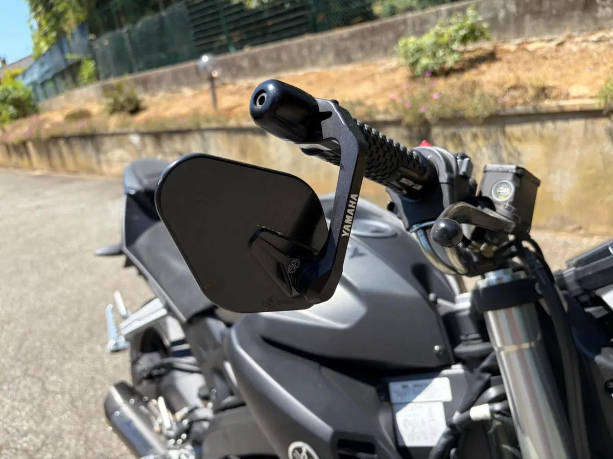 Yamaha MT-125 ABS (2015 - 16) (10)