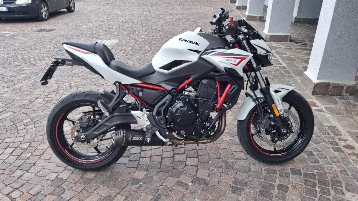 Kawasaki Z 650 (2021 - 24)