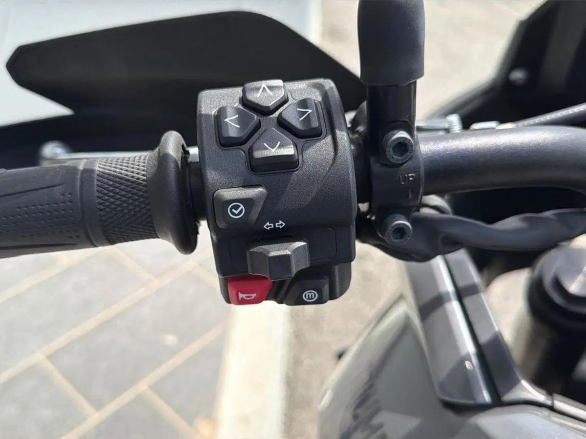 Triumph Tiger Sport 660 (2022 - 24) (6)