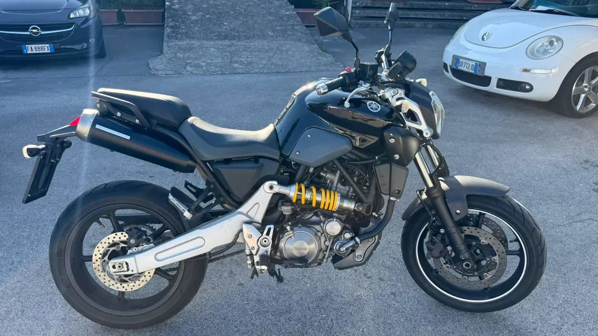 Yamaha MT-03 (2006 - 14) (3)