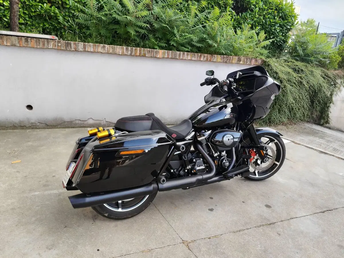 Harley-Davidson Road Glide (2024 - 26) (2)