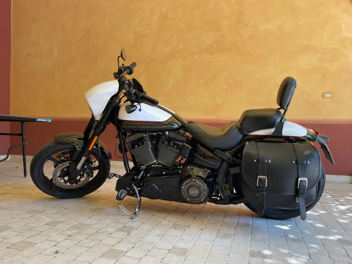 Harley-Davidson 1800 Breakout Pro Street (2016 - 17) - FXSBSE (3)