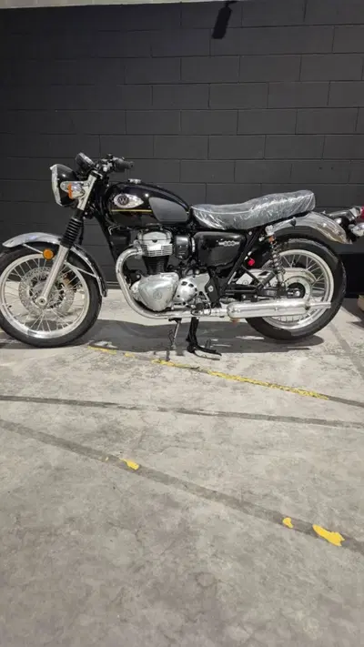 Kawasaki W 800 (2021 - 26) nuova