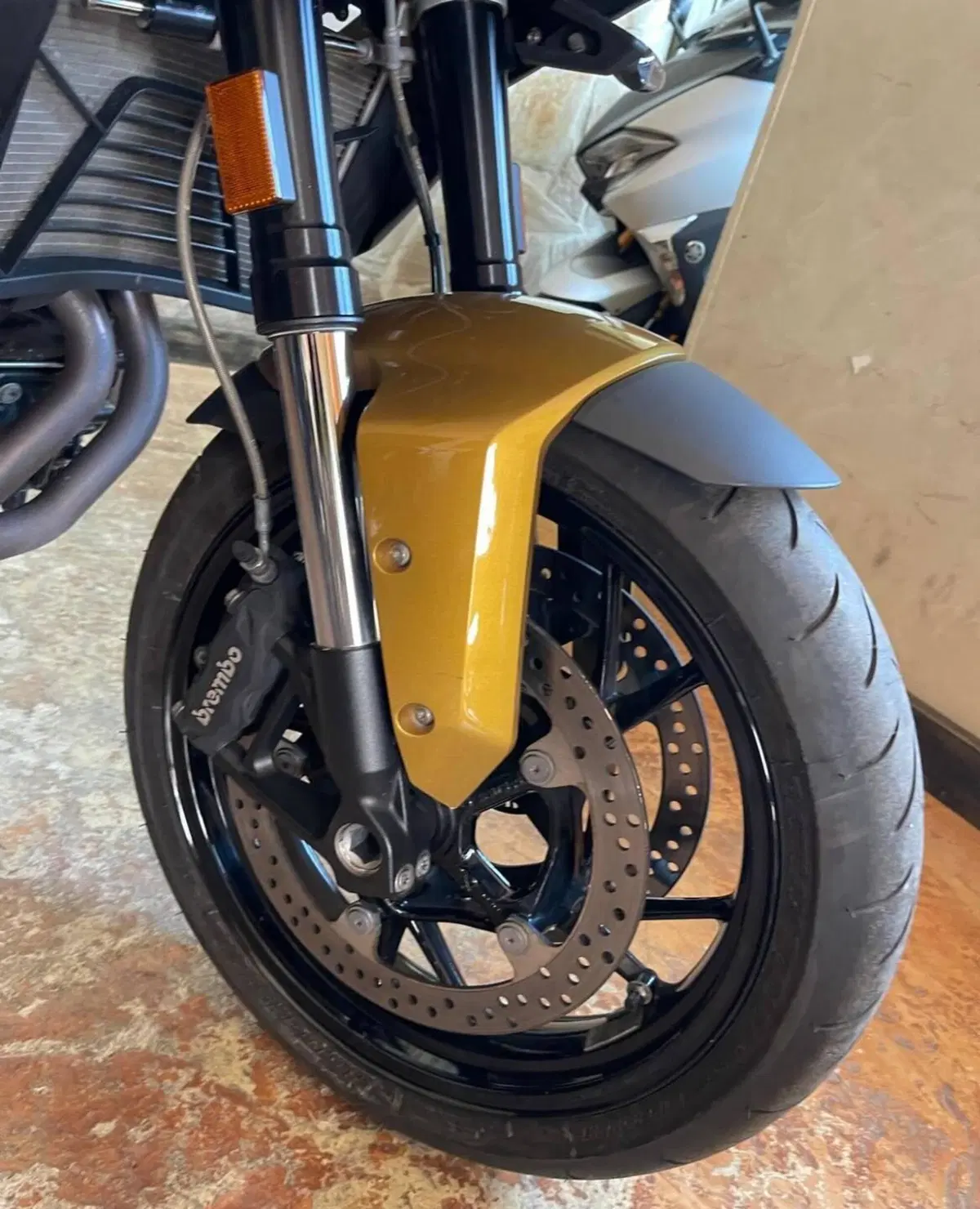 Bmw F 900 XR (2020 - 24) (10)