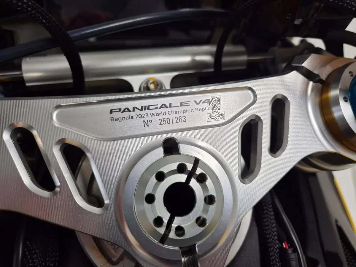 Ducati Panigale V4 Bagnaia 2023 World Champion Replica (2024) (9)