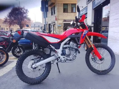 Honda CRF 300L (2025 - 26) usata