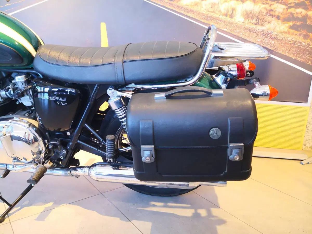 Triumph Bonneville T100 (2001 - 07) (9)