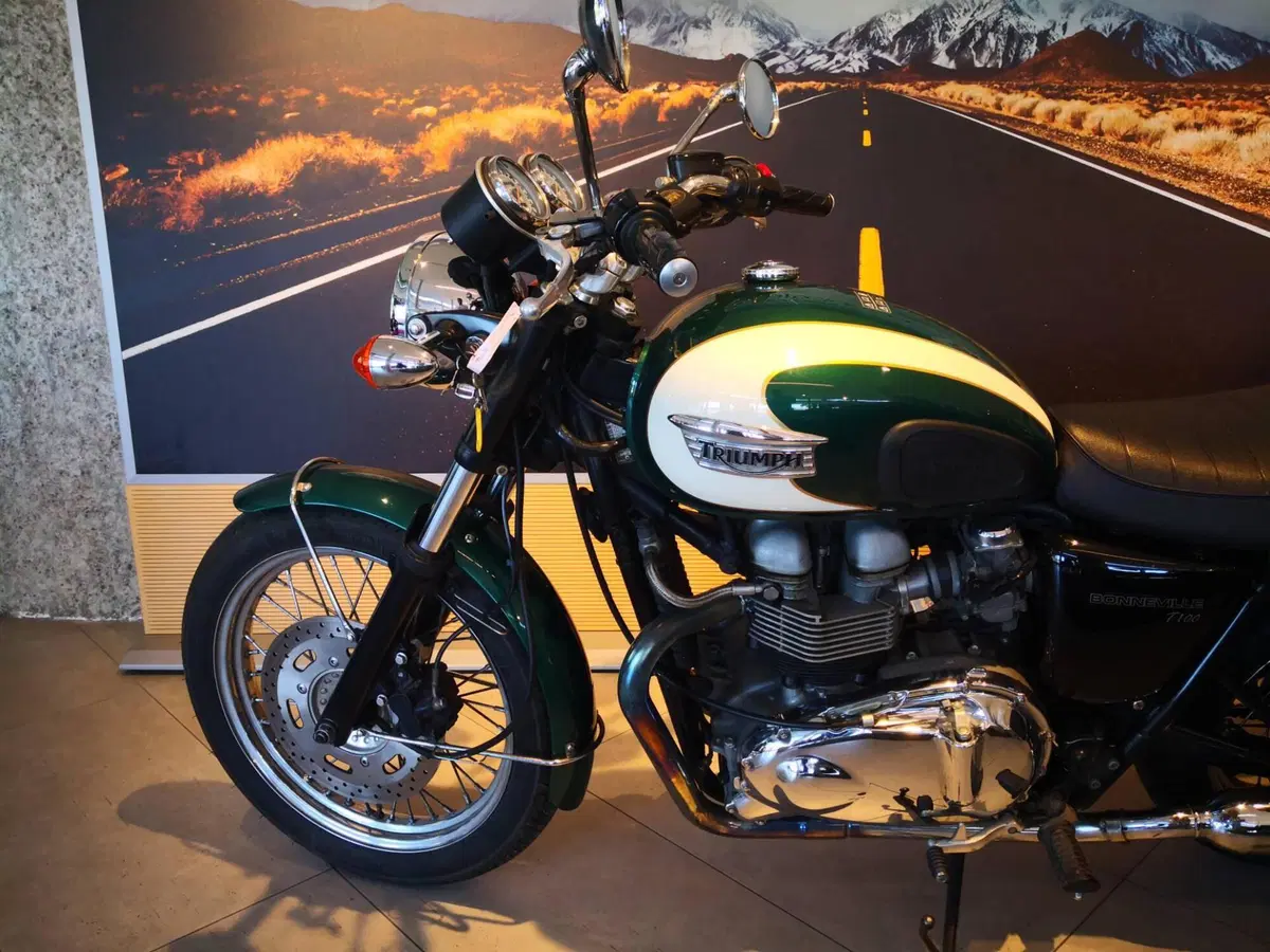 Triumph Bonneville T100 (2001 - 07) (10)