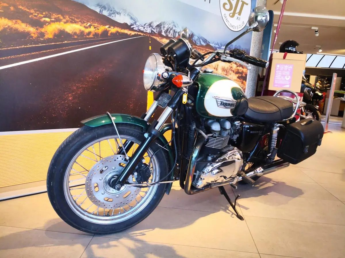 Triumph Bonneville T100 (2001 - 07) (11)