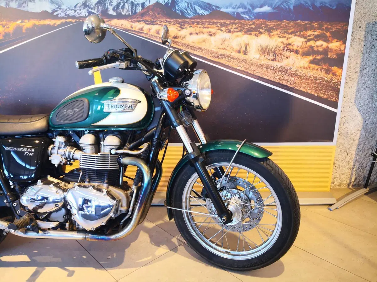 Triumph Bonneville T100 (2001 - 07) (4)