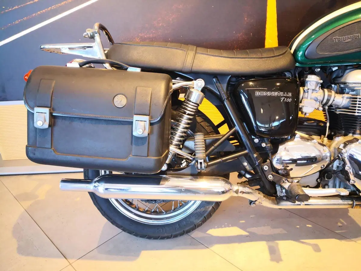 Triumph Bonneville T100 (2001 - 07) (5)