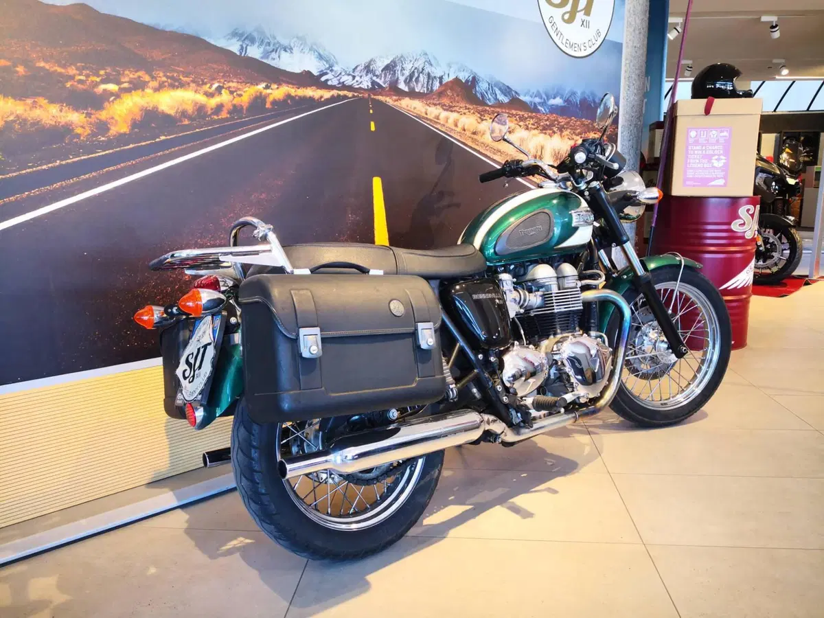 Triumph Bonneville T100 (2001 - 07) (6)