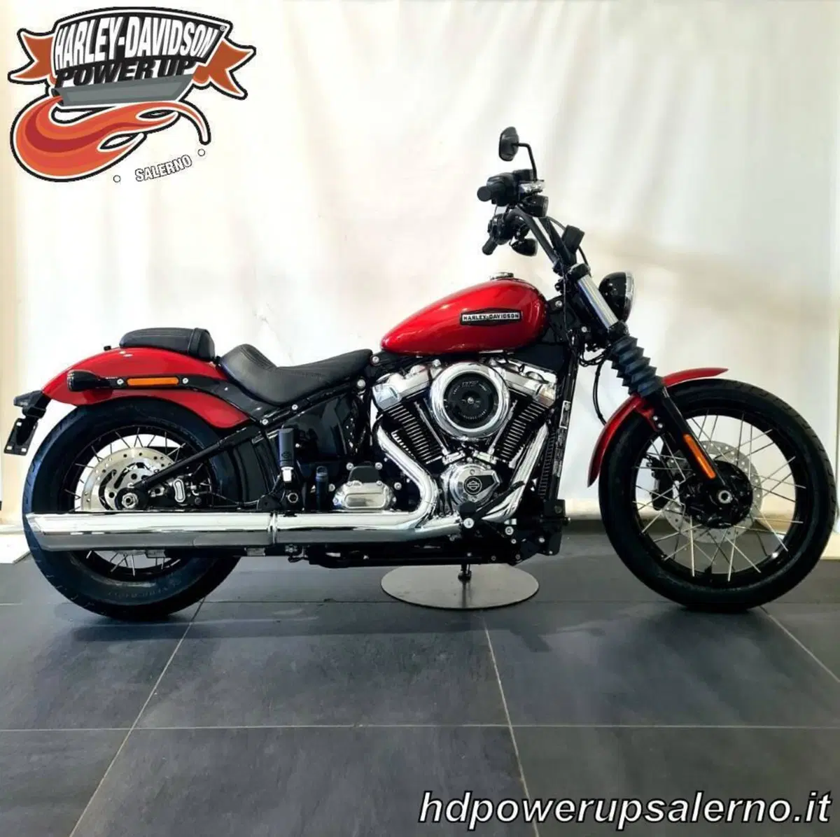 Harley-Davidson Street Bob 117 (2025 - 26) (2)