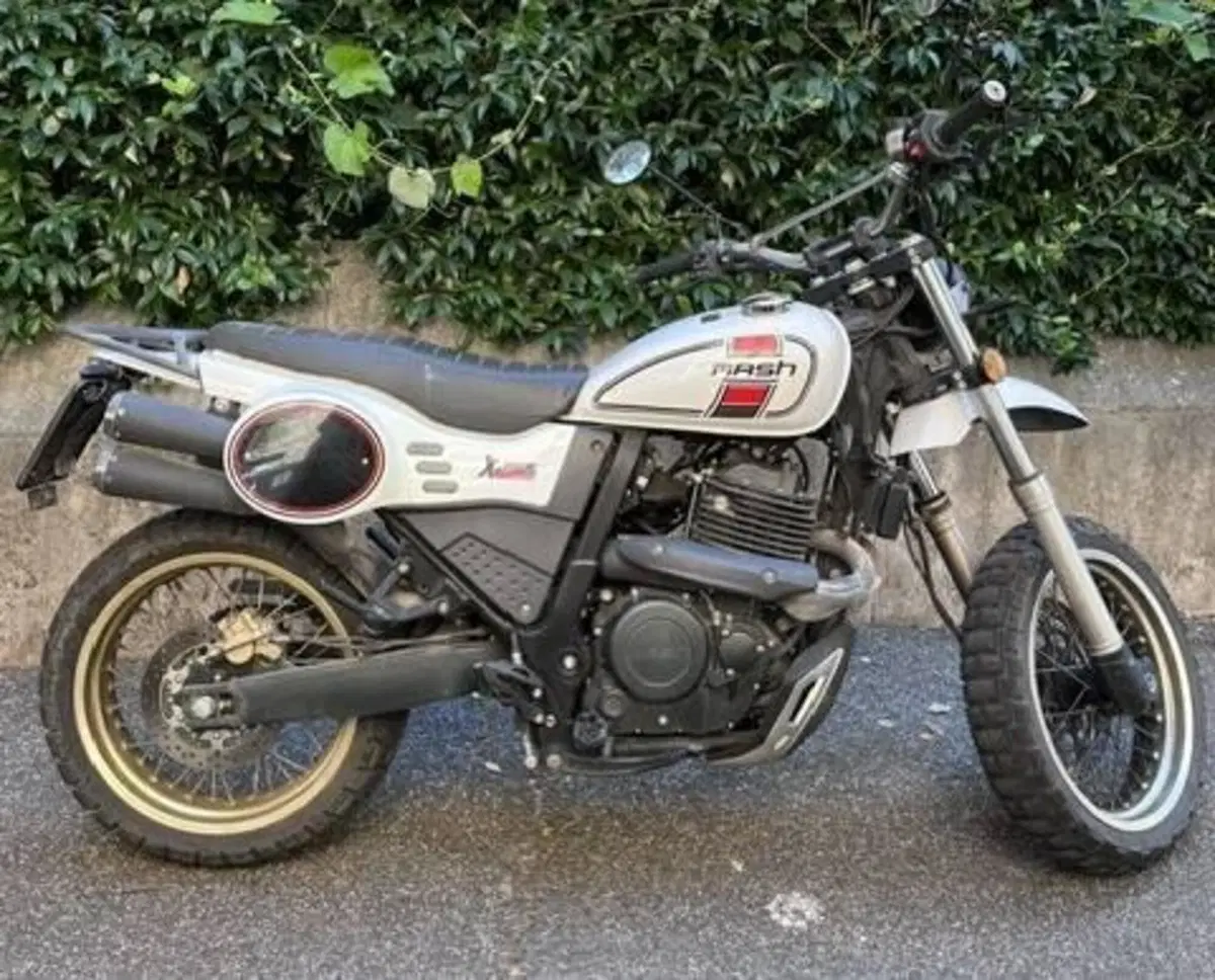Mash Italia X-Ride 650 (2021 - 25)