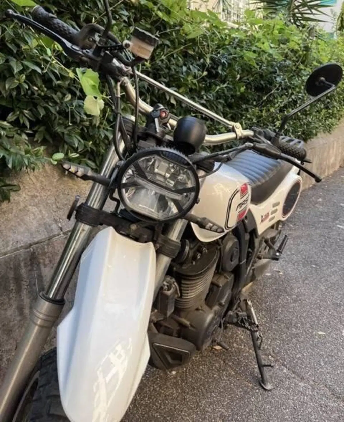 Mash Italia X-Ride 650 (2021 - 25) (5)