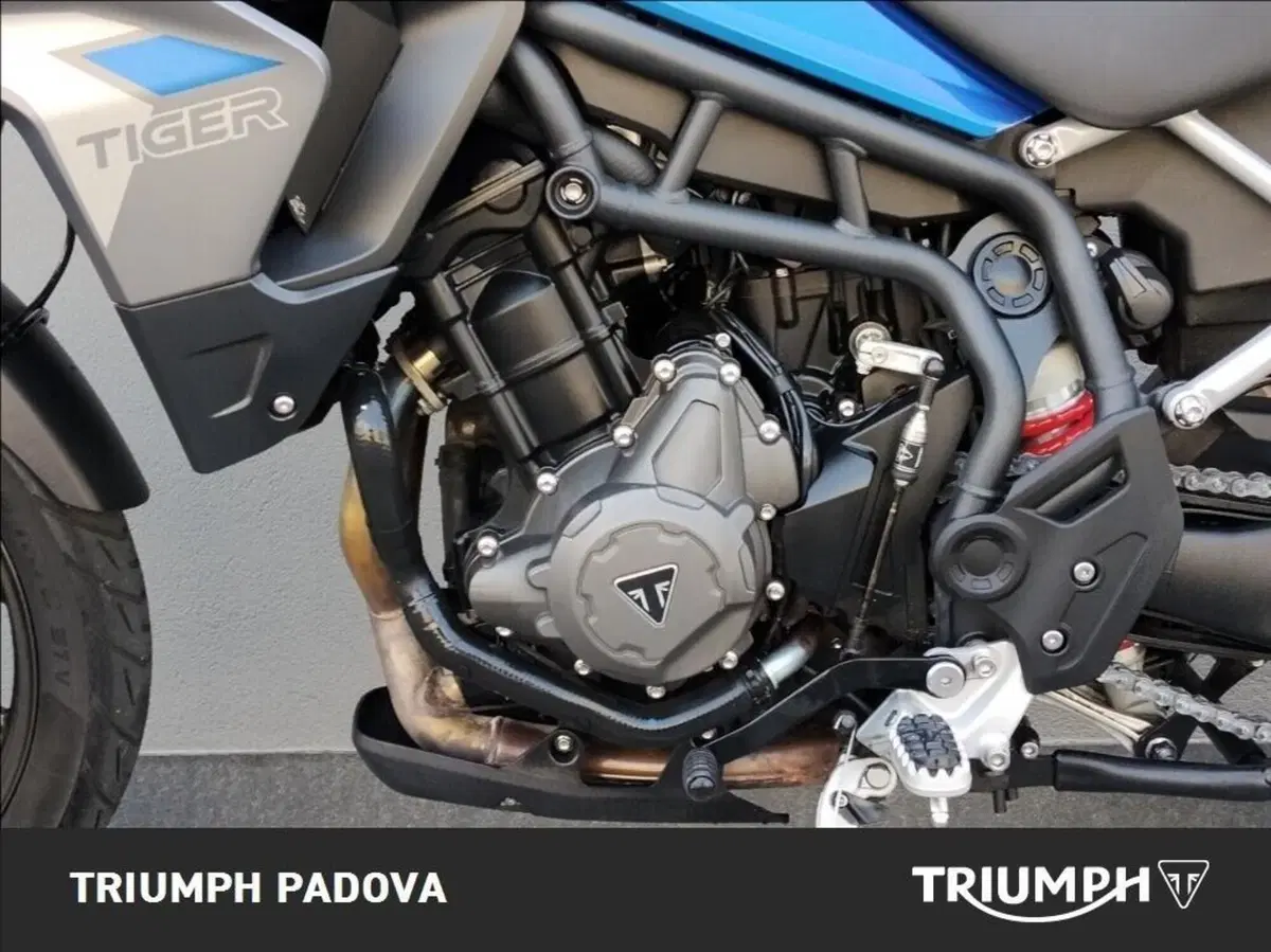 Triumph Tiger 900 GT Pro (2020 - 23) (8)