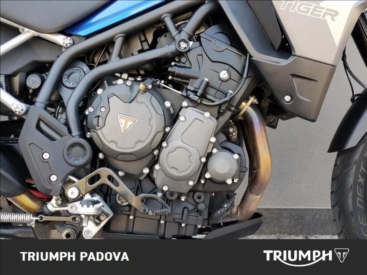 Triumph Tiger 900 GT Pro (2020 - 23) (3)