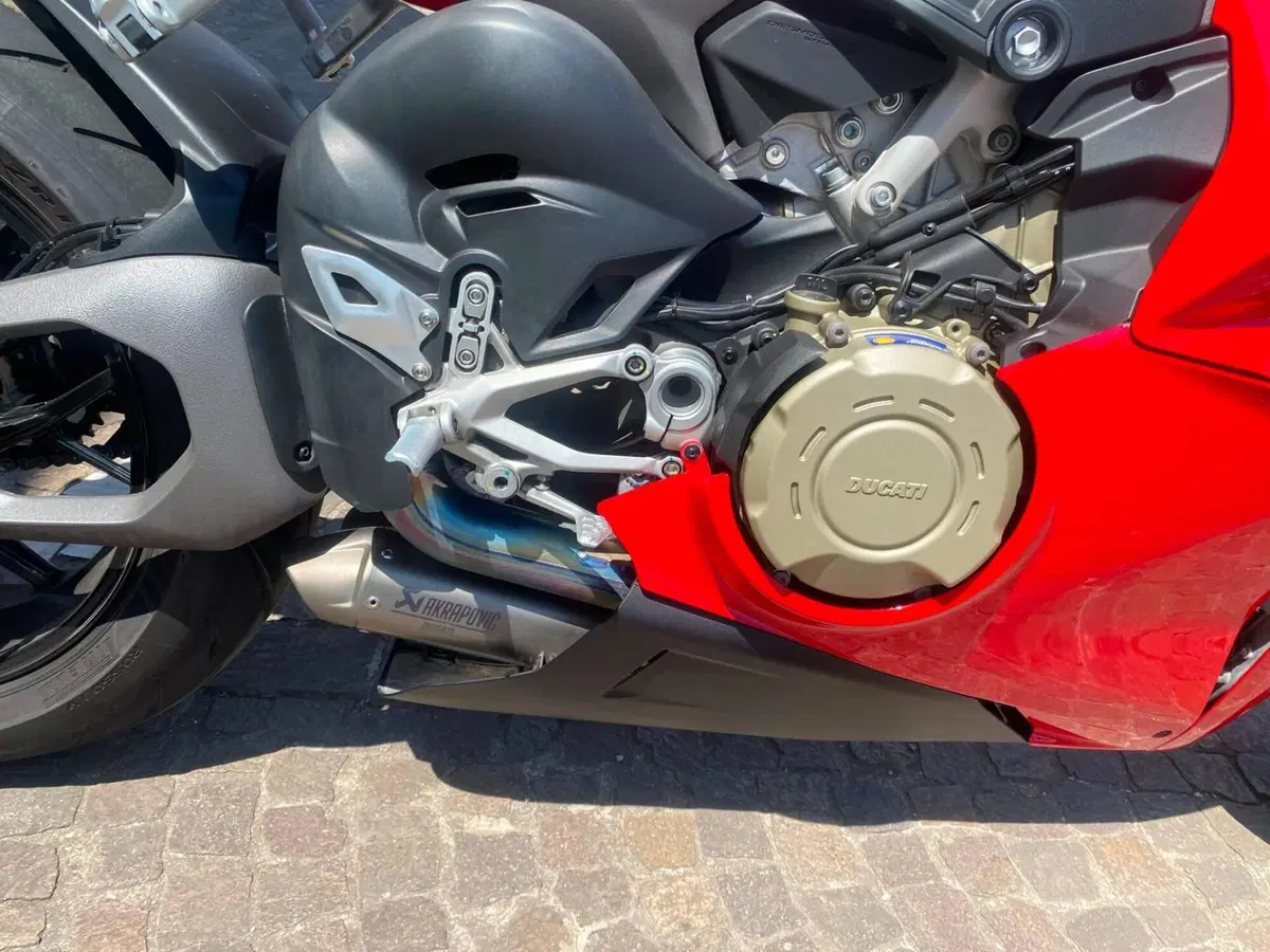 Ducati Panigale V4 (2025 - 26) (6)