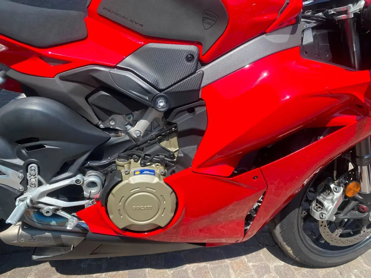 Ducati Panigale V4 (2025 - 26) (10)