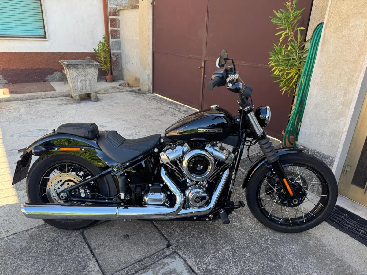 Harley-Davidson Street Bob 117 (2025 - 26) (2)